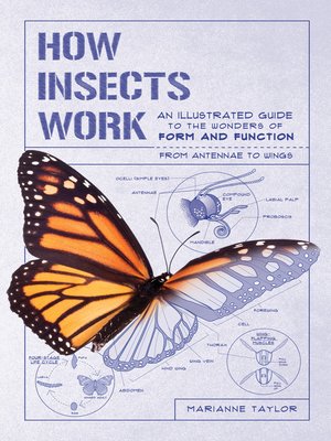 cover image of How Insects Work